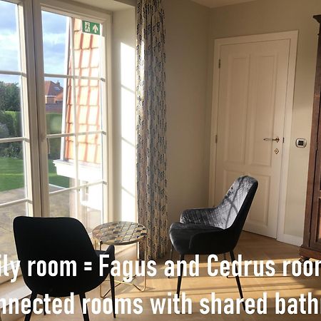 ヤブベーケ Cedrus Bed & Breakfast エクステリア 写真