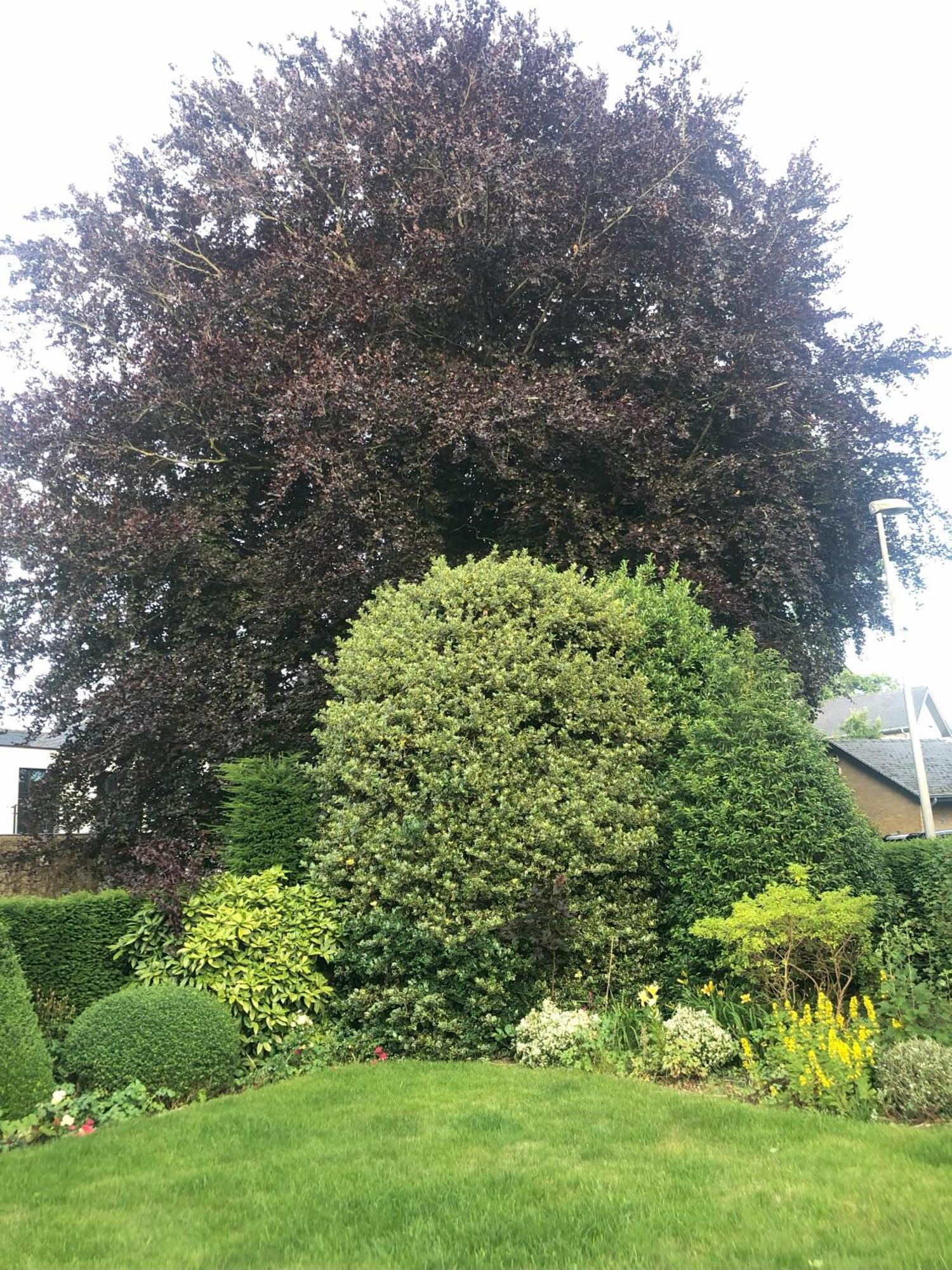 ヤブベーケ Cedrus Bed & Breakfast エクステリア 写真